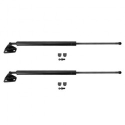 Toyota 4Runner Driver & Passenger Side 2 Piece Liftgate Lift Support Set TRQ GSA09084